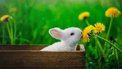 kaiyun.com-年轻车坛新星：梦想之路的辛酸与坚持