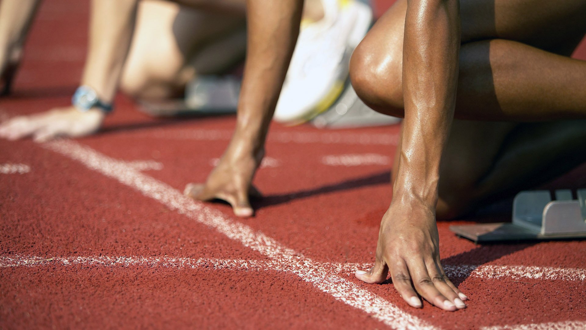 观众调查平台启用提升赛事服务体验，观众行为及兴趣调研分析